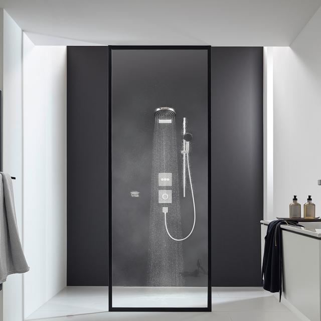 Pulsify S Overhead shower 260 2jet EcoSmart with wall connector