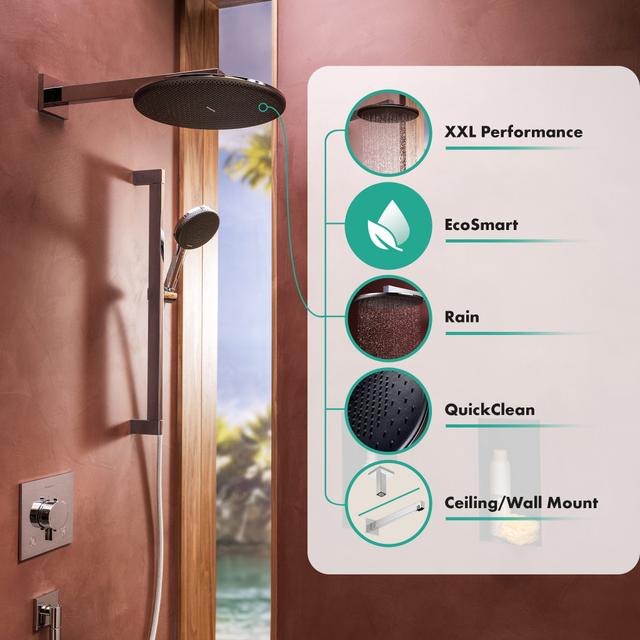 Raindance Alive S Overhead shower 300 1jet EcoSmart